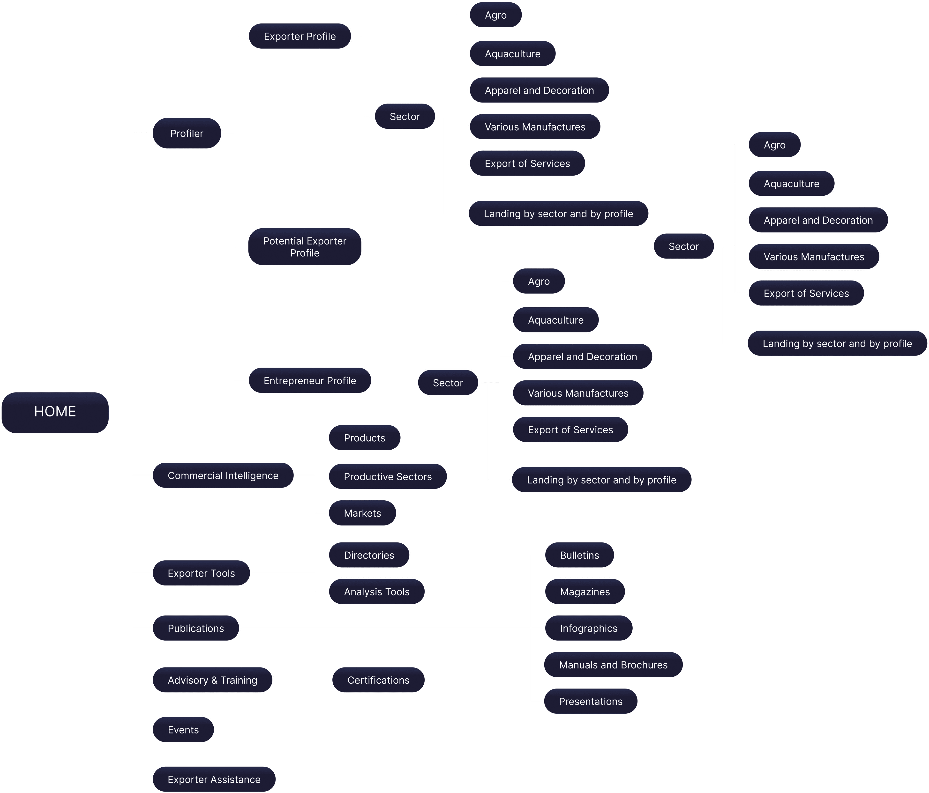 Information architecture